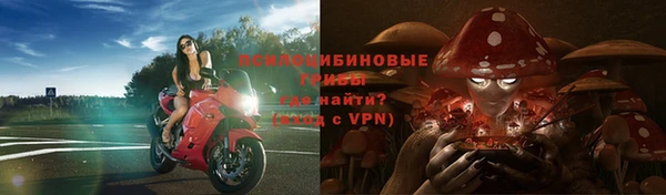 МДПВ Козловка