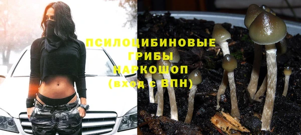 МДПВ Козловка