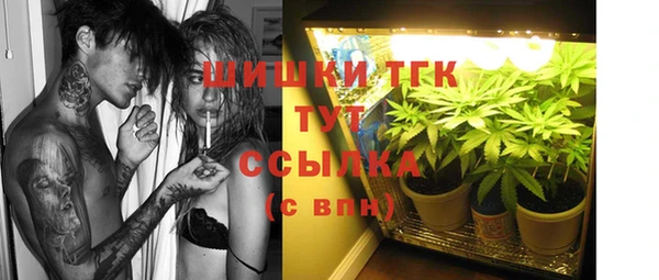 МДПВ Козловка