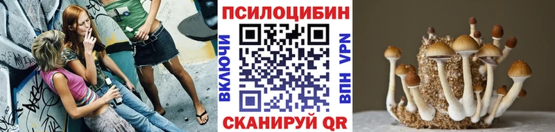 Галлюциногенные грибы мухоморы  Котельнич 